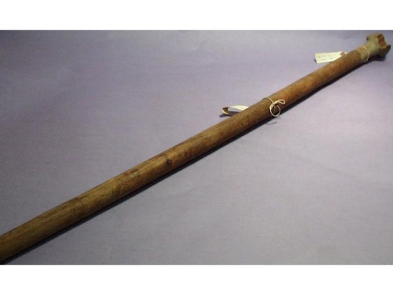 Walking Stick | National Museums Liverpool