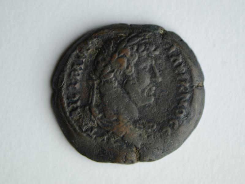 Coin; AE25 | National Museums Liverpool