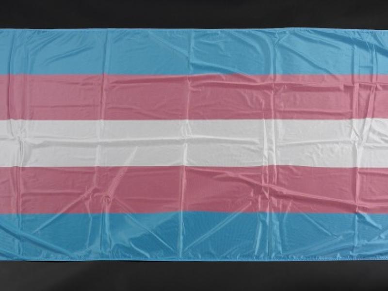 transgender pride