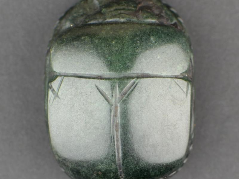 Scarab | National Museums Liverpool