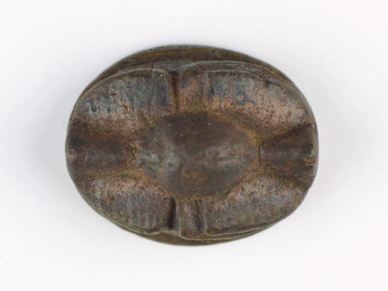 Scarab | National Museums Liverpool