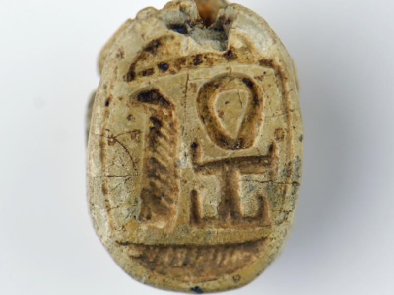 Scarab | National Museums Liverpool