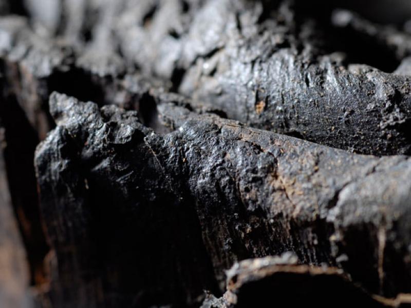 Black Pitch, Carved Histories: Prehistoric Wood Sculpture From Trinidad ...